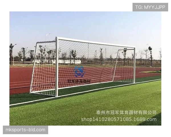 球门尺寸标准：宽度7.32米、高度2.44米，这是足球规则规定的唯一合规规格