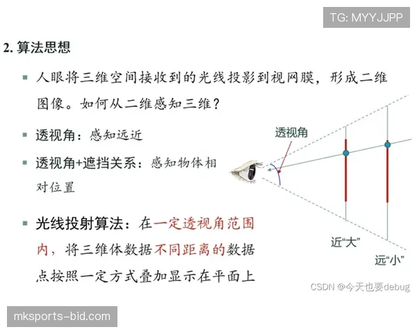技术犯规和违体犯规有何区别？规则解析告诉你